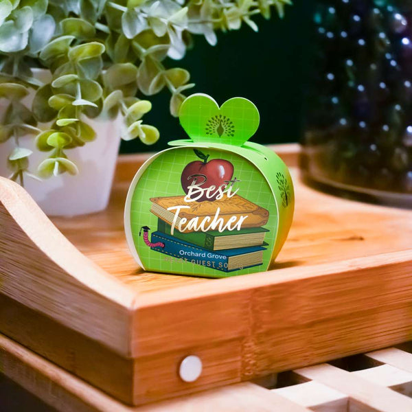 Best Teacher Heart Guest Soaps