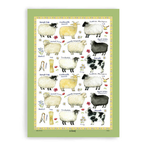 Sheep Breeds Cotton Tea Towel