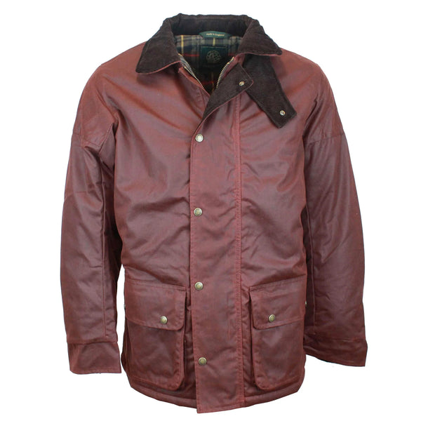 Men's Padded Wax Antique Coat in Chestnut- 100% Wax Cotton Coat with pockets, on white background